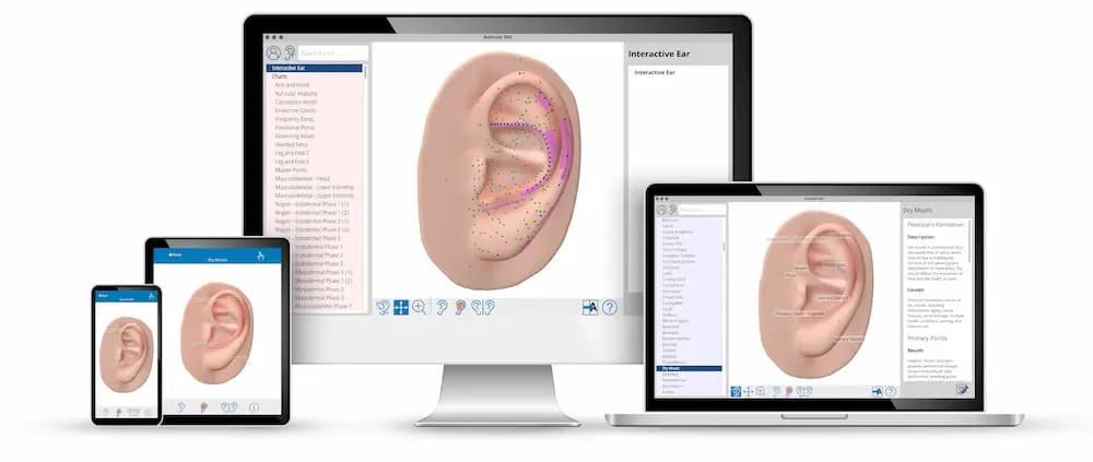 Auriculo 360 auf Telefon, Tablet, Desktop und Laptop mit 3D-Ohr und Protokollansicht.